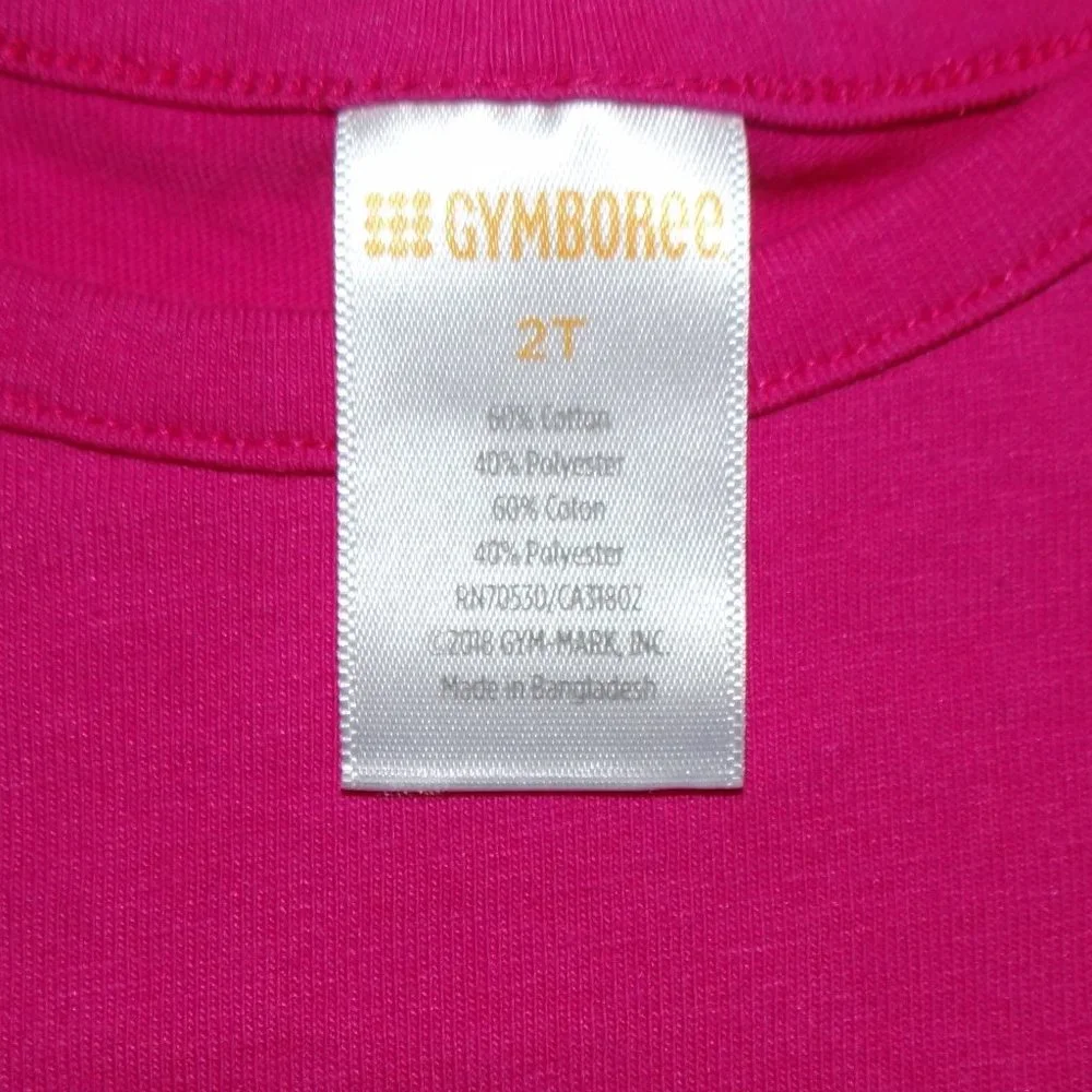 Gymboree bundle girls